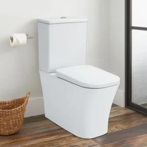 Aree LUXA Back to Wall Water Closet