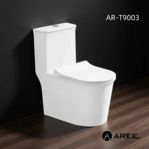 Aree Back to Wall Water Closet